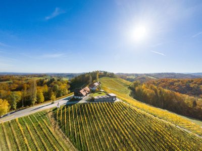 Weingut Südsteiermark - Pongratz