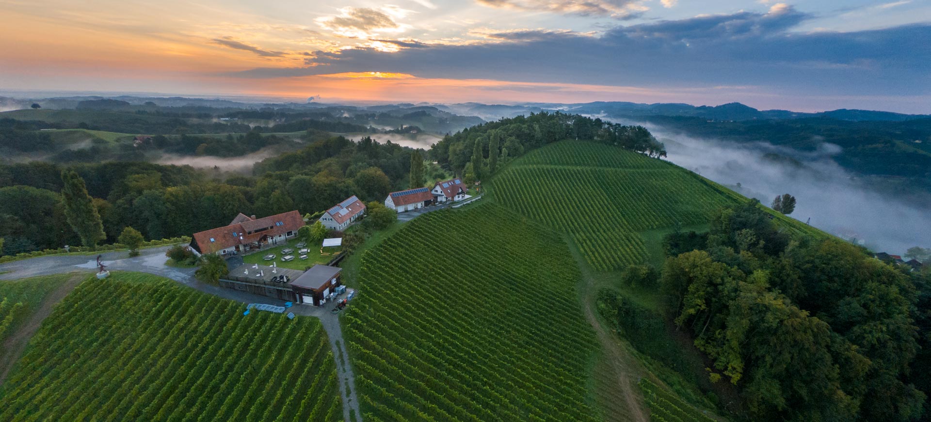 Weingut Pongratz, Weinberge - Foto © Helmut Bolesch