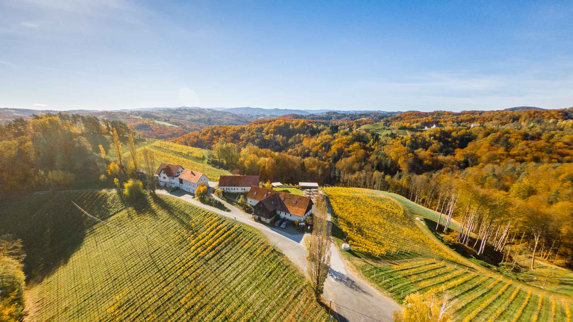 Weingut Pongratz