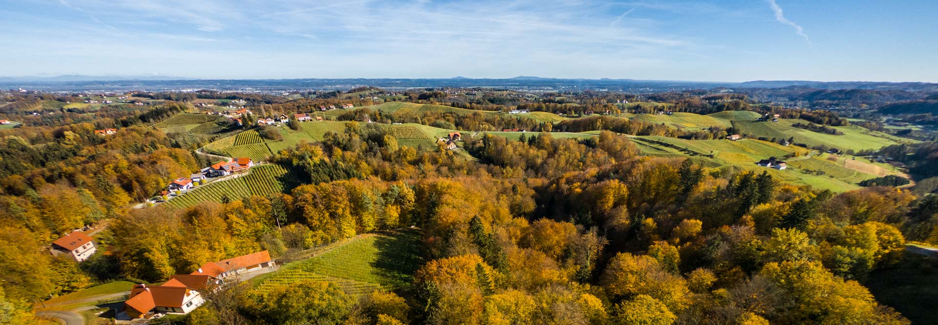 Blick ins Umland des Weingut Pongratz - Foto © Helmut Bolesch