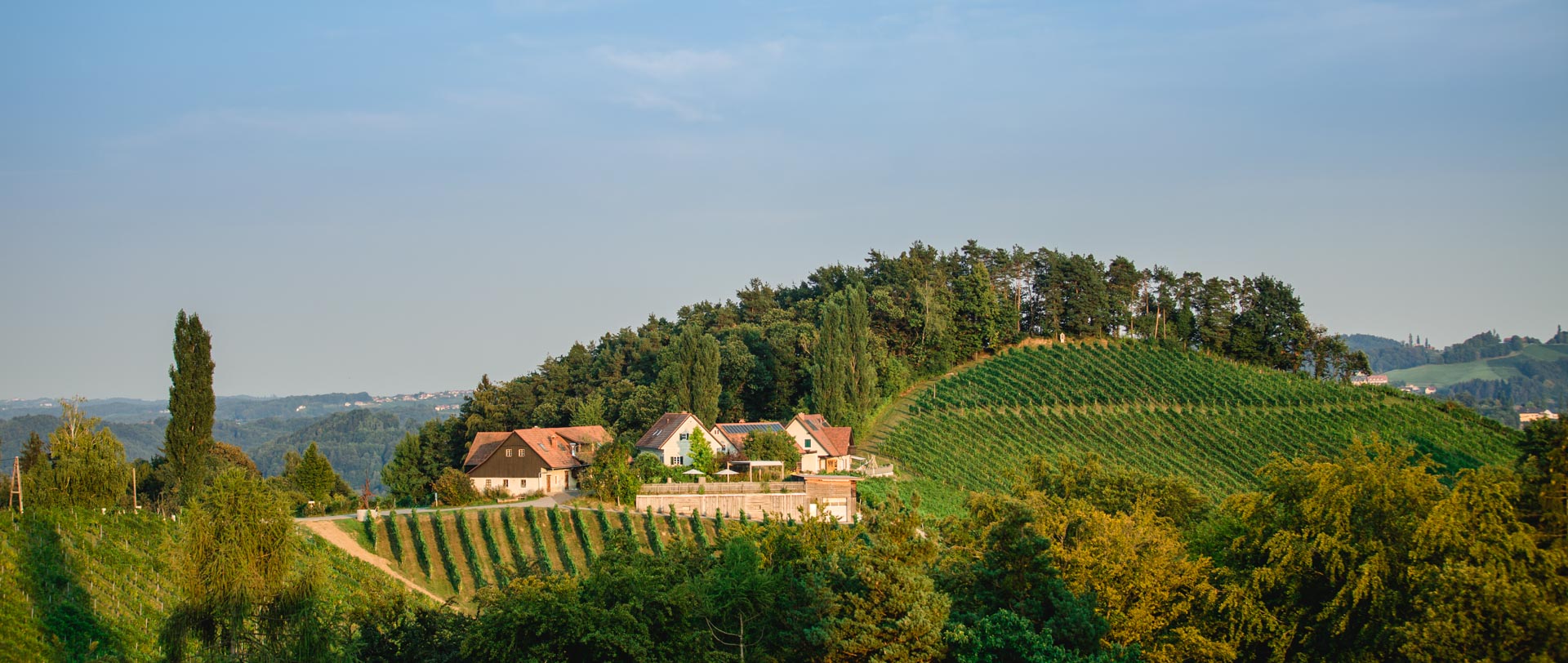 Hochberg und Kranachberg, Weingut Pongratz - Foto © Helmut Bolesch