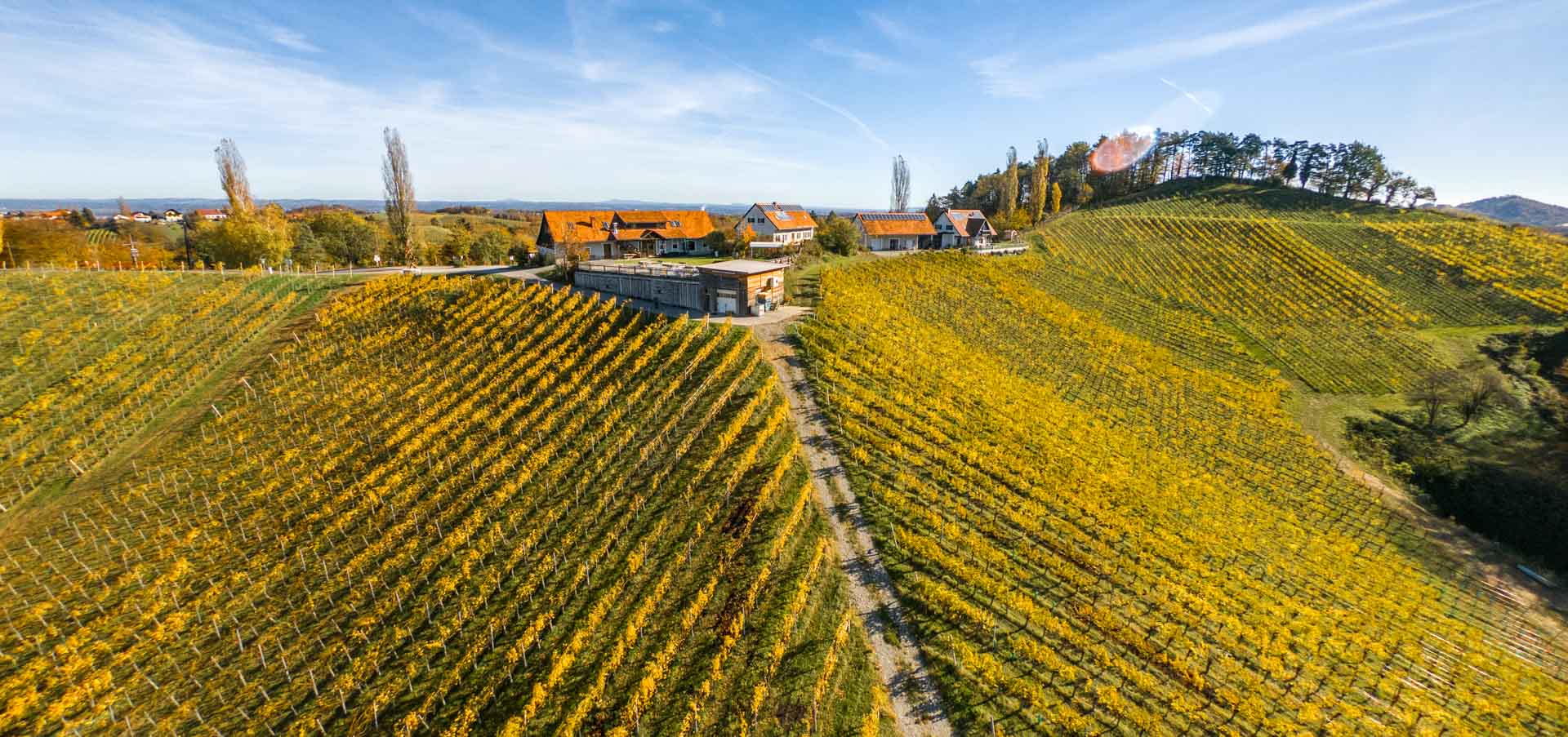Weinkeller im Weingarten, Weingut Pongratz - Foto © Helmut Bolesch