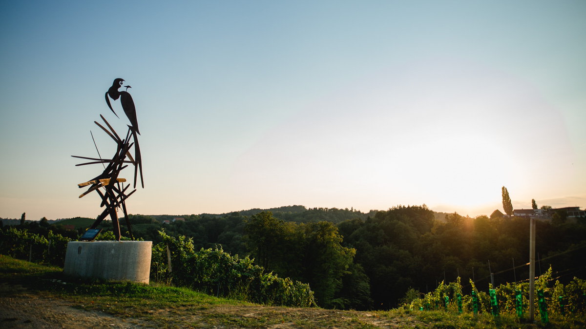 Die Schwalbe bei Sonnenuntergang, Weingut Pongratz - Foto © Helmut Bolesch