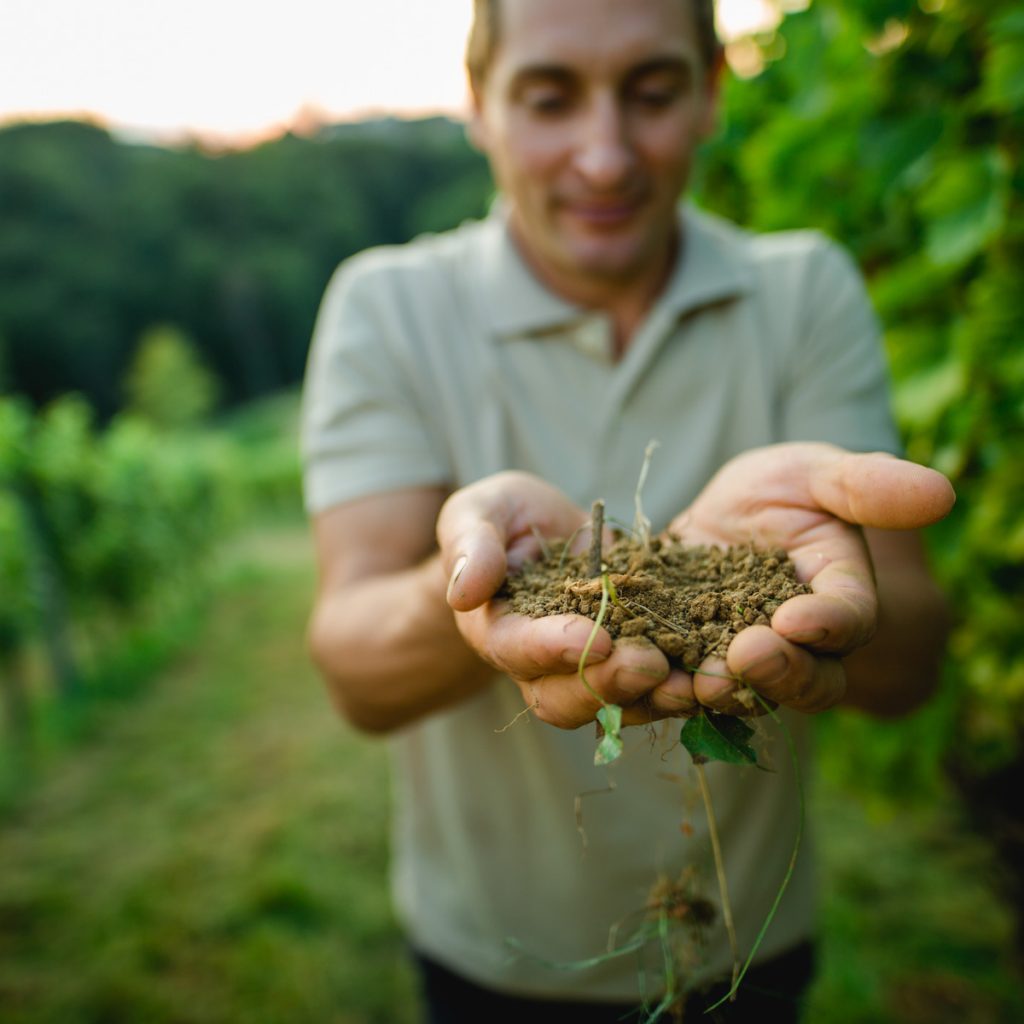 Markus Pongratz und das Terroir am Weingut Pongratz - Foto © Karin Bergmann