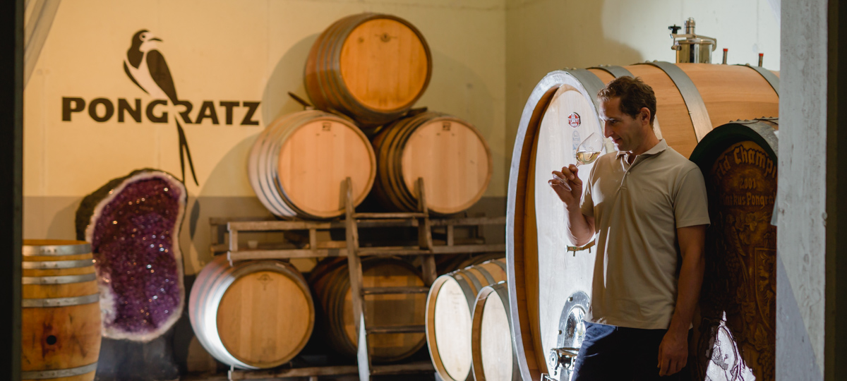 Markus im Weinkeller bei den Holzfässern, Weingut Pongratz - Foto © Karin Bergmann
