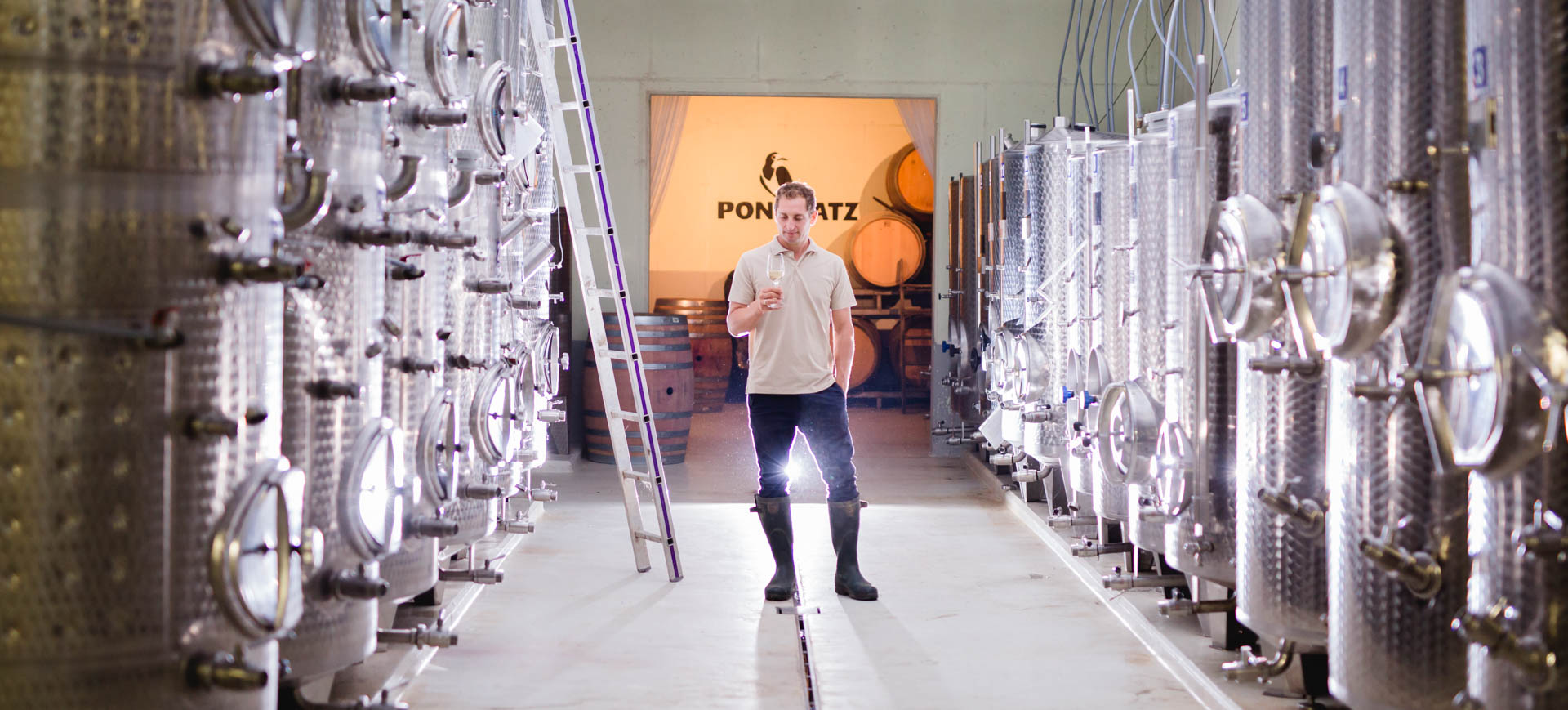 Markus im Weinkeller, Weingut Pongratz - Foto © Karin Bergmann