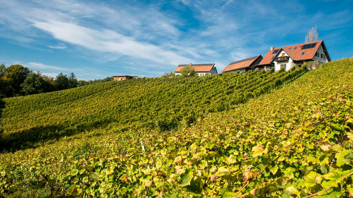 Kranachberg, Weingut Pongratz - Foto © Andreas Amschl