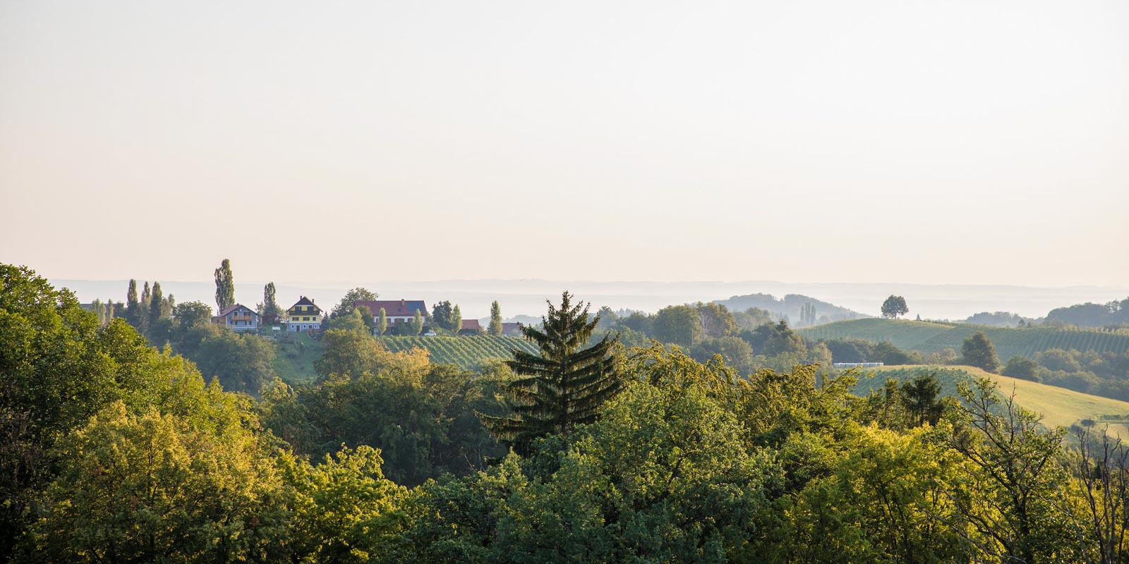 Landschaft Panorama Weingut Pongratz - Foto © Rob and Deanna