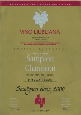 Urkunde Champion 2000