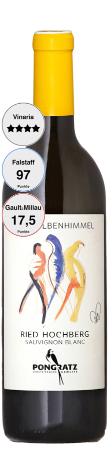 Schwalbenhimmel Sauvignon blanc Hochberg 2017, 0,75 l Flasche