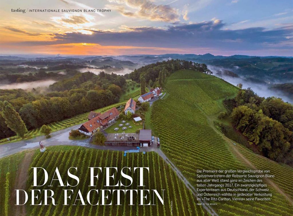 Luftaufnahme Falstaff Trophy Sauvignon Blanc 2020