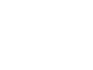 pongratz logo white